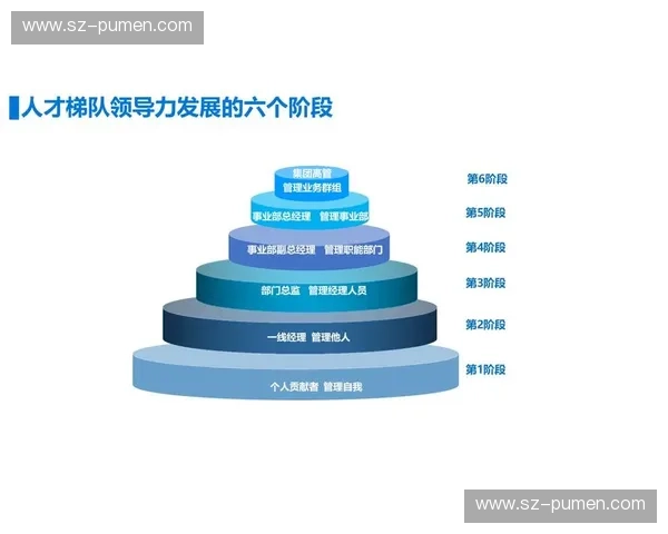 青年梯队建设与发展：提升青年人才培养与创新能力的战略路径探索