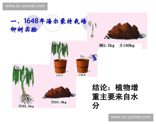 球场测量尺的设计与应用研究探索及其在现代体育场馆中的重要作用
